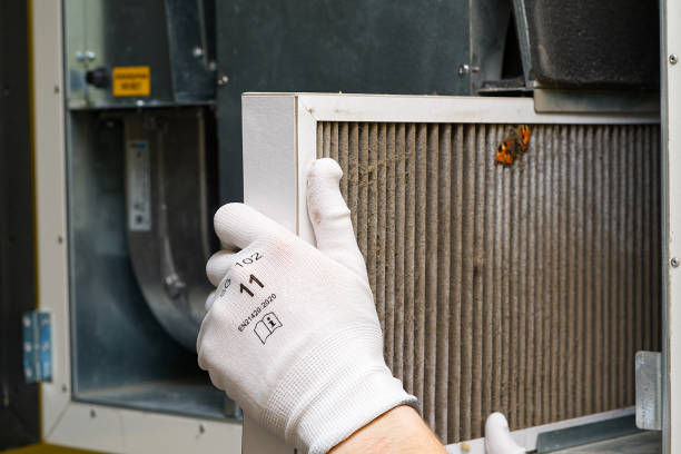Best Professional Duct Cleaning Services  in Quartzsite, AZ