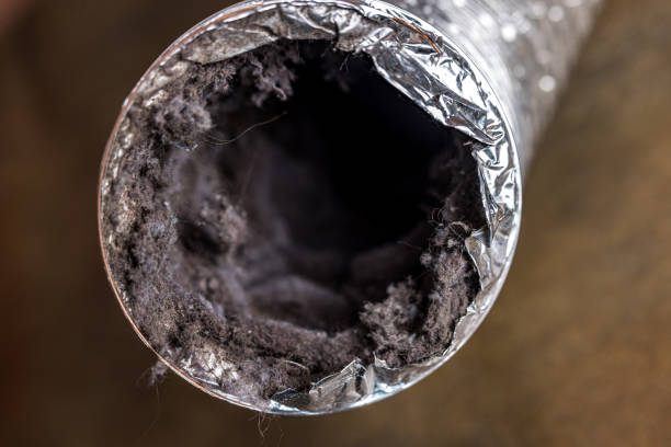Best Duct Cleaning for Homes  in Quartzsite, AZ