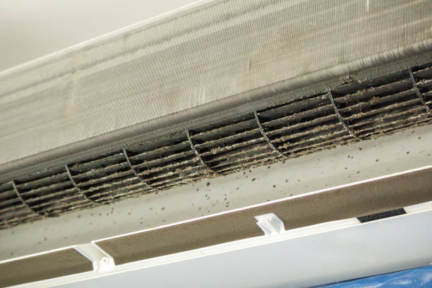 Best HVAC Duct Inspection Services  in Quartzsite, AZ